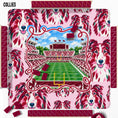 Load image into Gallery viewer, 31" Mahjong Mat, College Football Stadiums, Neoprene, Wholesale