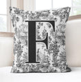 Load image into Gallery viewer, Personalized Toile Pillow