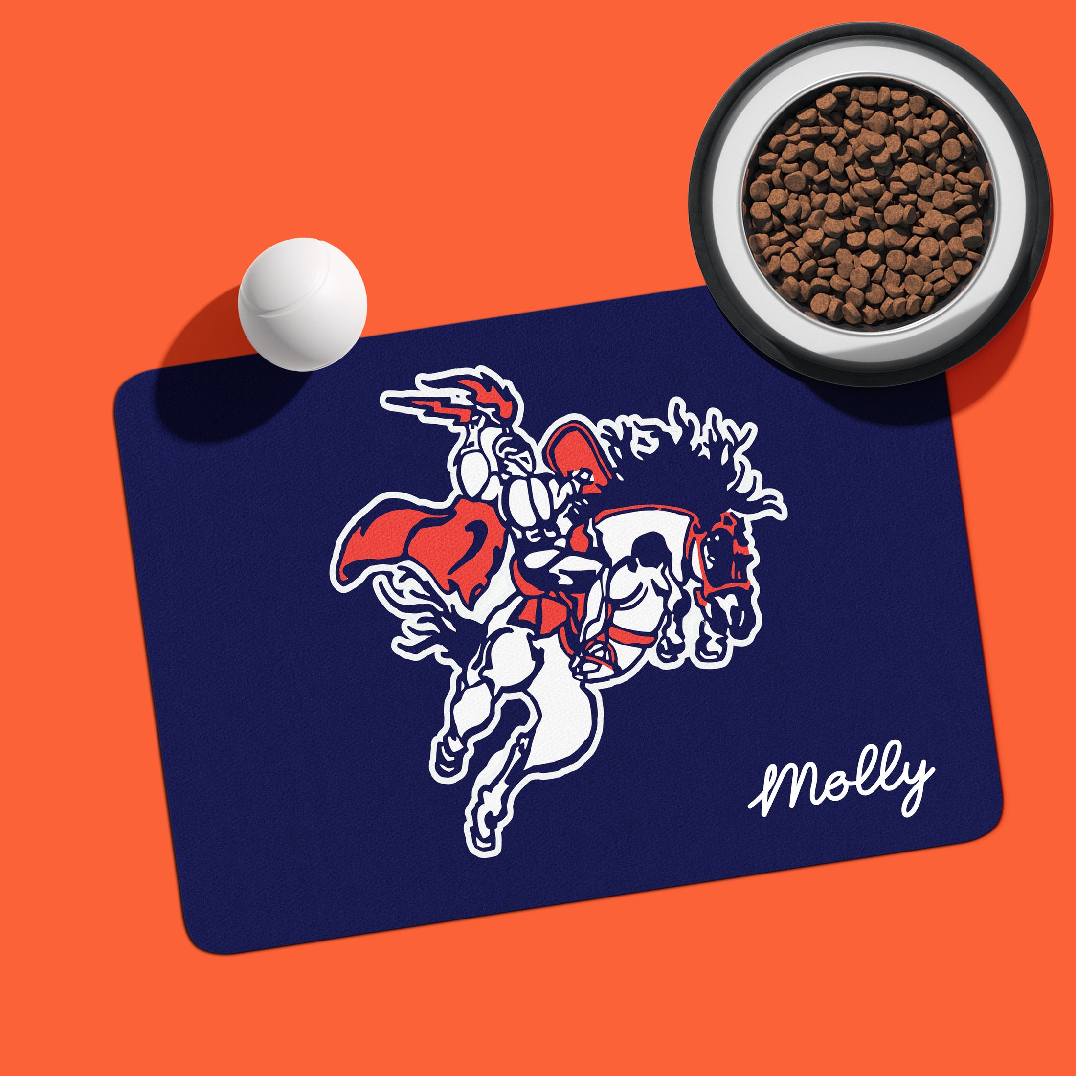 Charger's Fundraiser Pet Mat