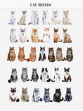 Load image into Gallery viewer, Personalized Kindle Case
